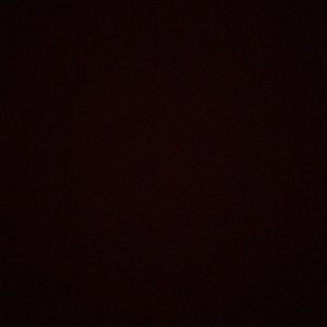 Meet your Posher, Gavin